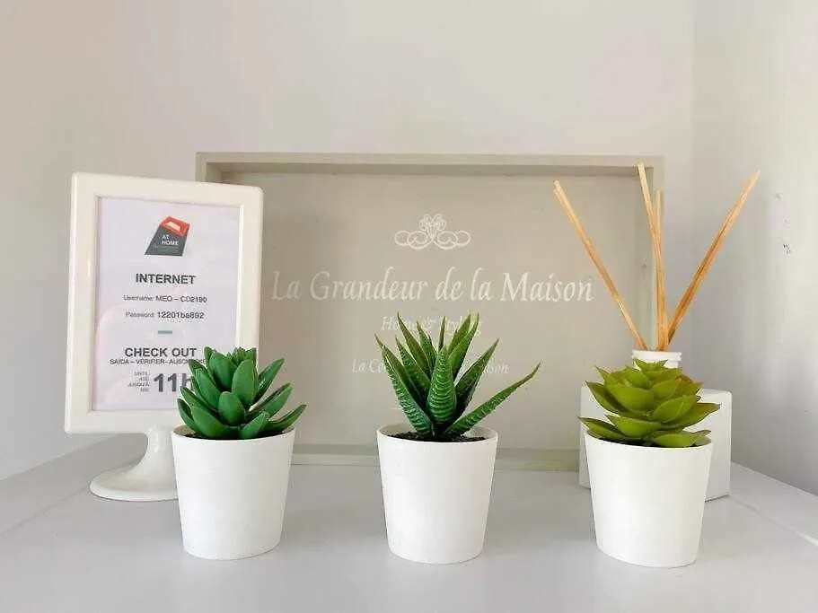 Rocha Studio Apartment
